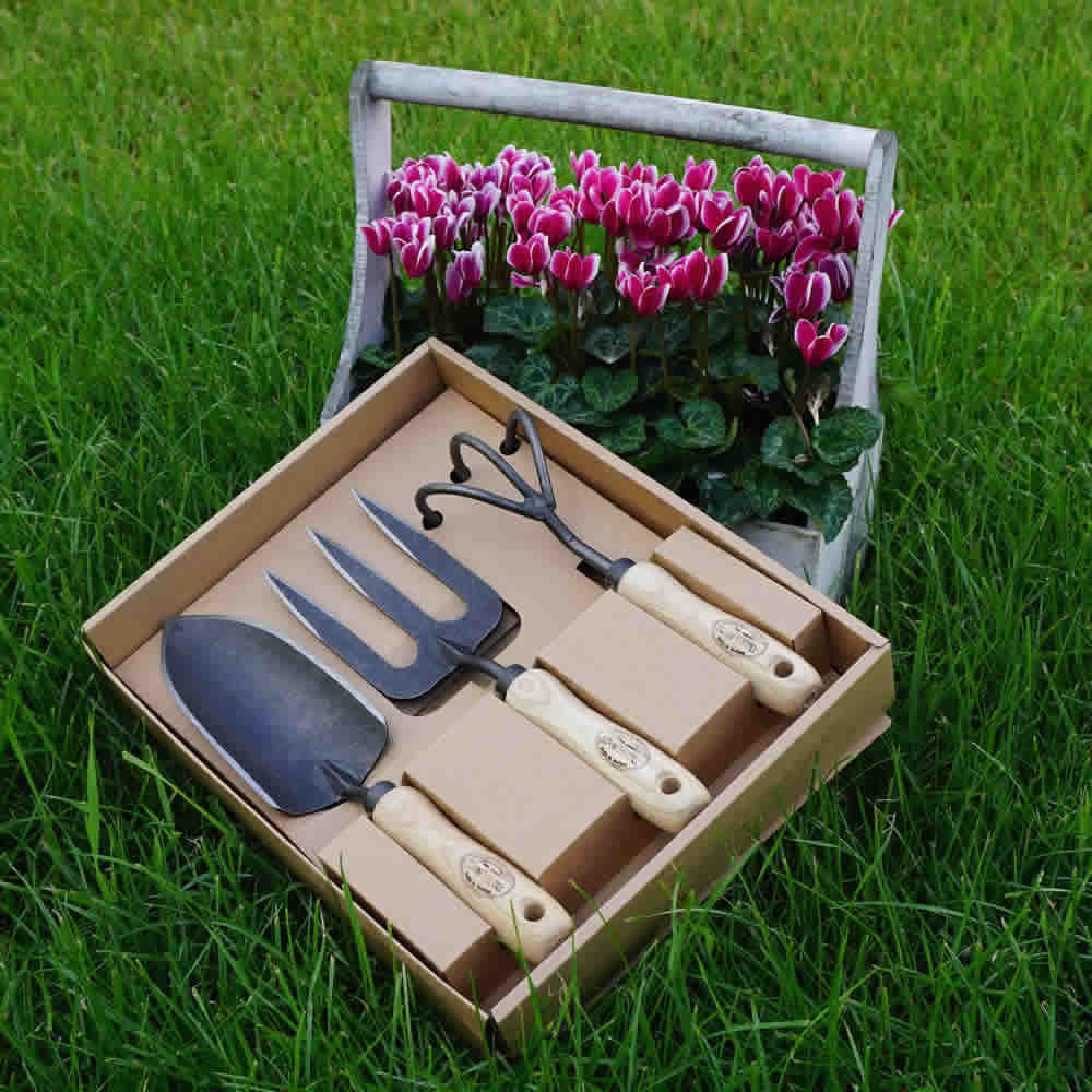DeWit Gift Box Garden Set