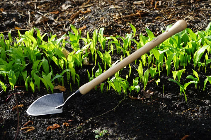 DeWit mini shovel drop grip handle - 48cm