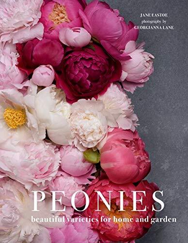 Peonies: Beautiful varieties for home and garden
