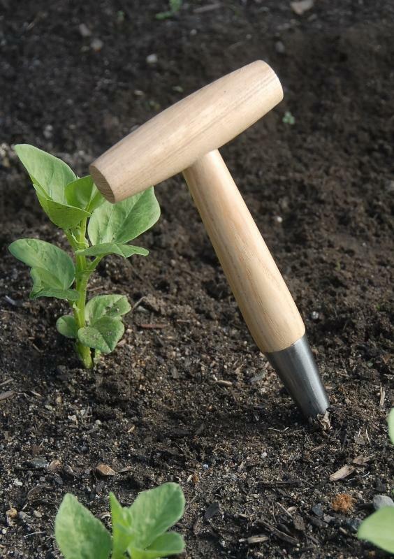 Stainless Steel Dibbler (Dibber)