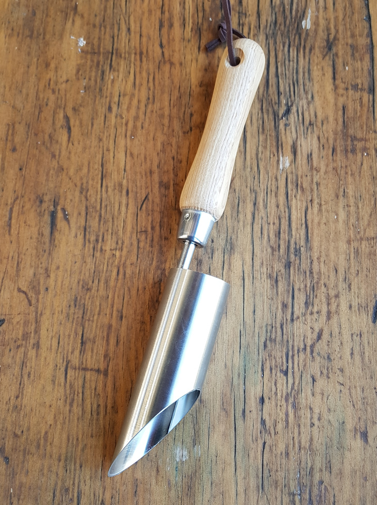 Stainless Steel Bulb Planter - Small