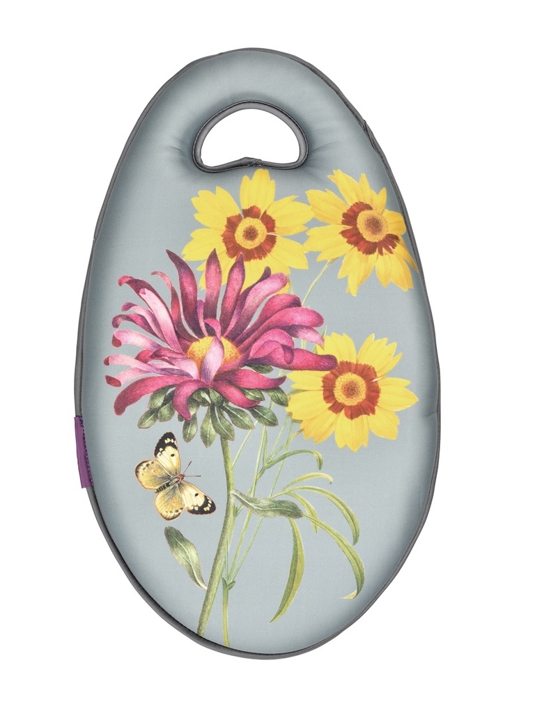 RHS Asteraceae Gift Kneelo 