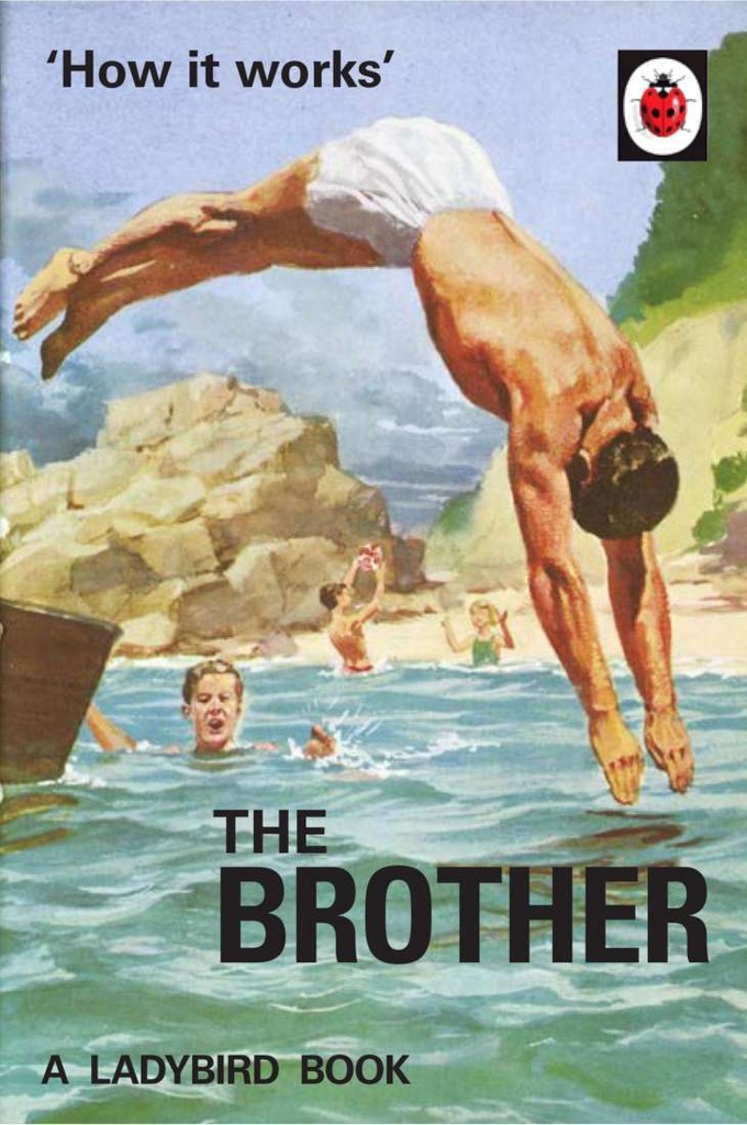 How It Works: The Brother (Ladybird for Grown-Ups)