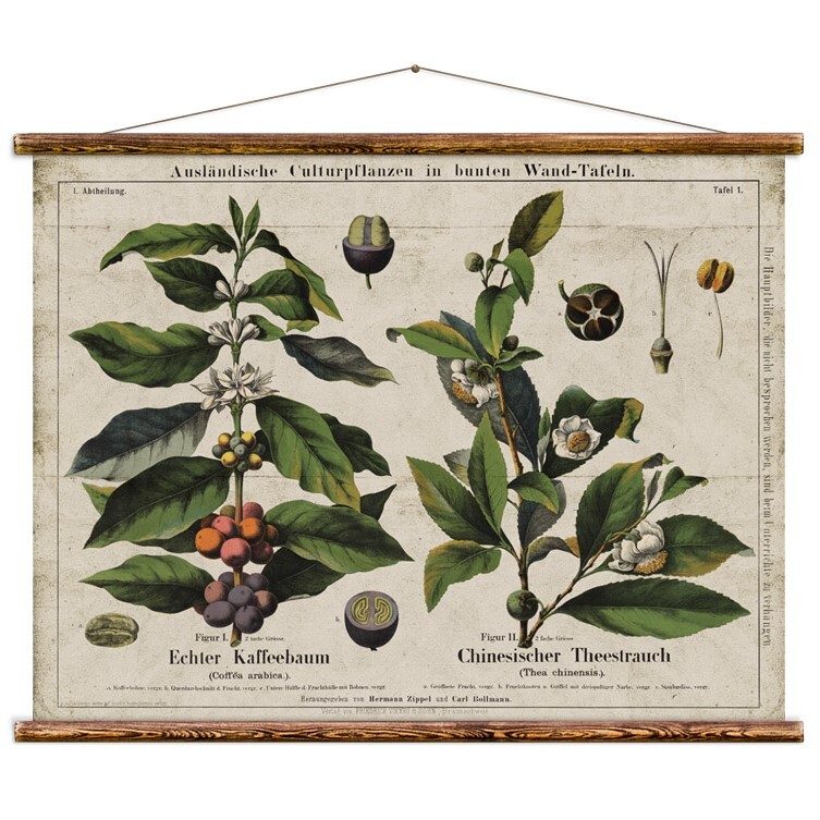 Coffee & Tea Chart