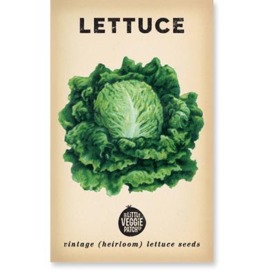Heirloom Seeds - Lettuce (Boston)