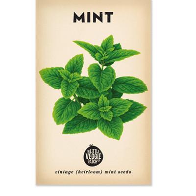 Heirloom Seeds - Peppermint
