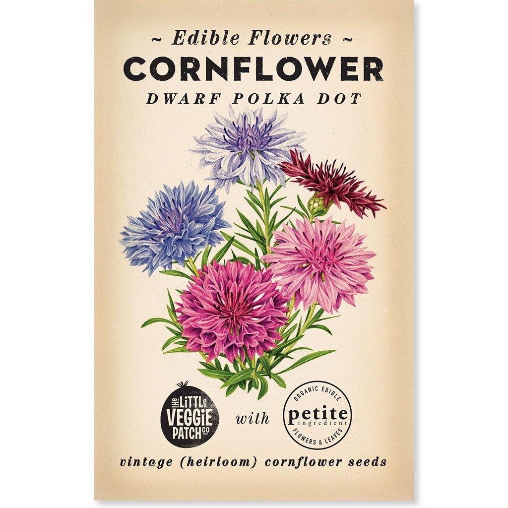 Heirloom Seeds - Cornflower