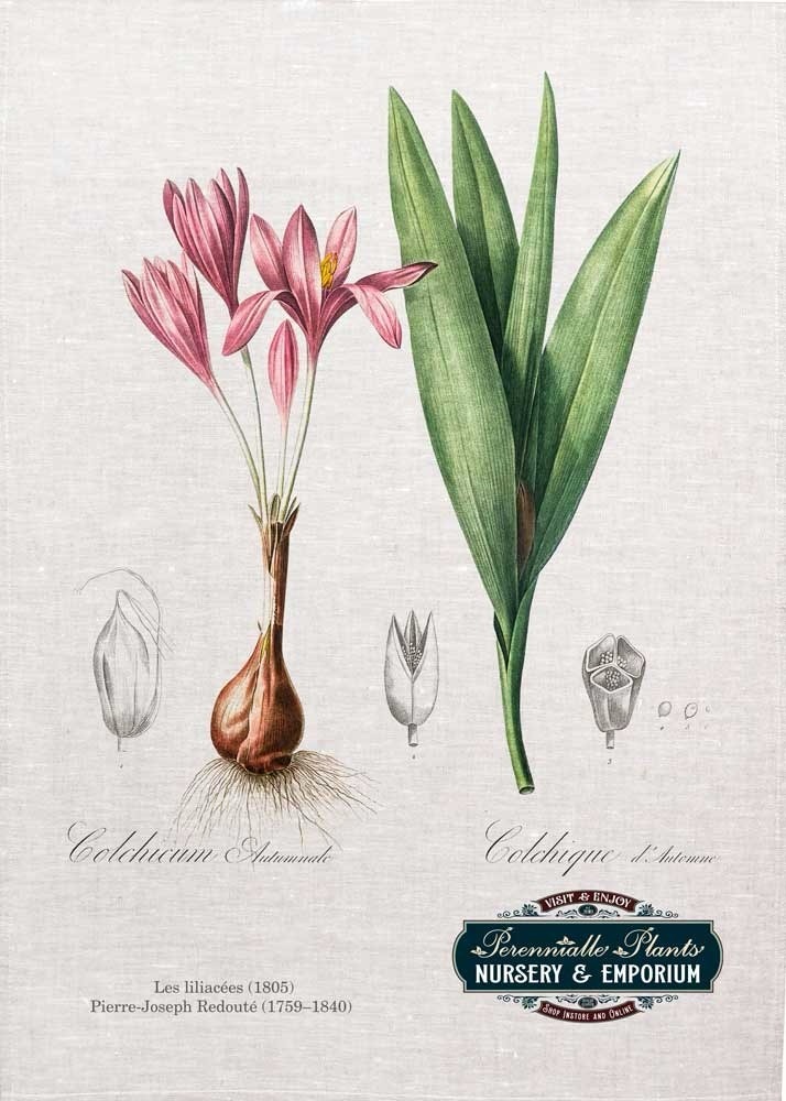 'Colchicum Autumnale' Linen Tea Towel