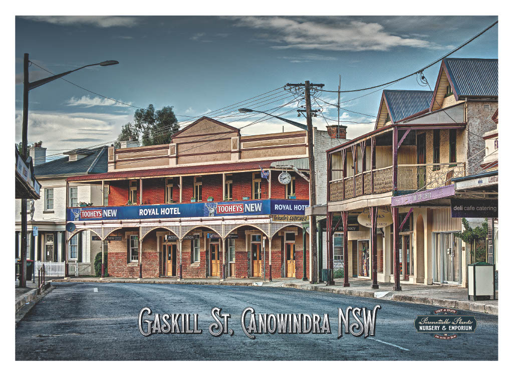 Canowindra Main Street 2, Linen Tea Towel