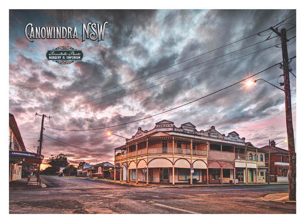 Cobley Building, Canowindra, Linen Tea Towel