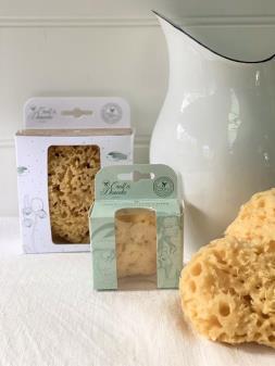 Sponge Natural 7cm