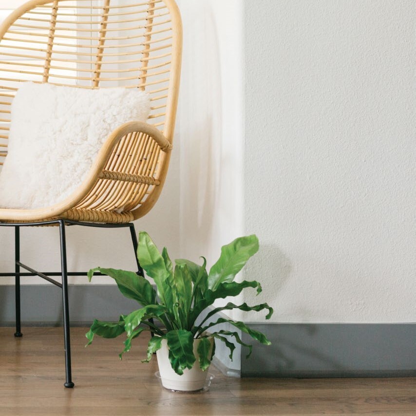 Everspring Clear Vinyl Plant Saucer