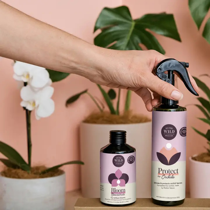 Orchid Care Duo