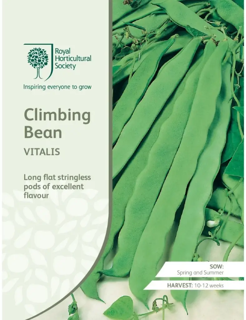 RHS Seeds - Vitalis Climbing Bean Seeds