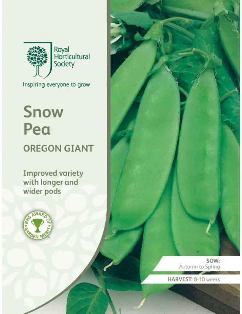 RHS Seeds - Oregon Giant Snow Pea Seeds