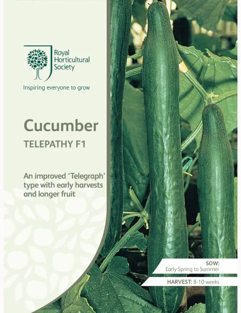 RHS Seeds - Telepathy F1 Cucumber