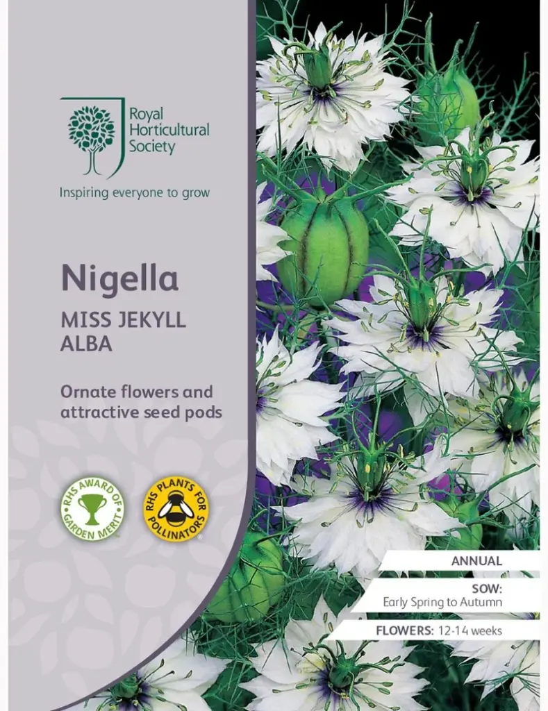 RHS Seeds - Nigella Miss Jekyll Alba