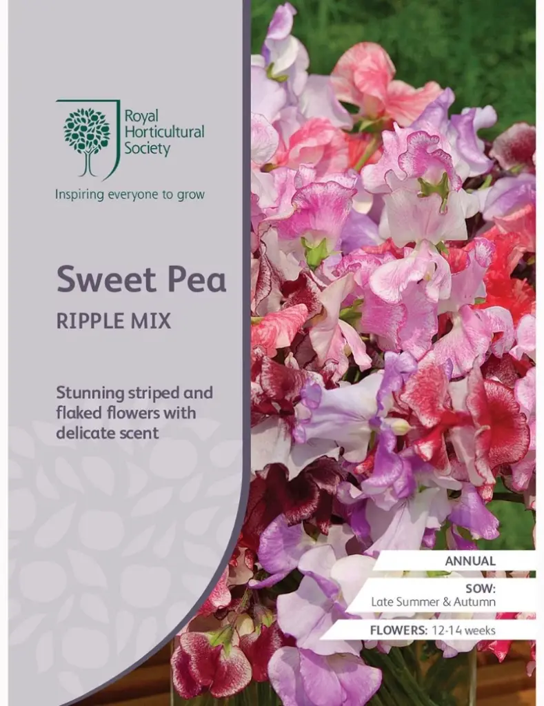 RHS Seeds - Sweet Pea Ripple Mix