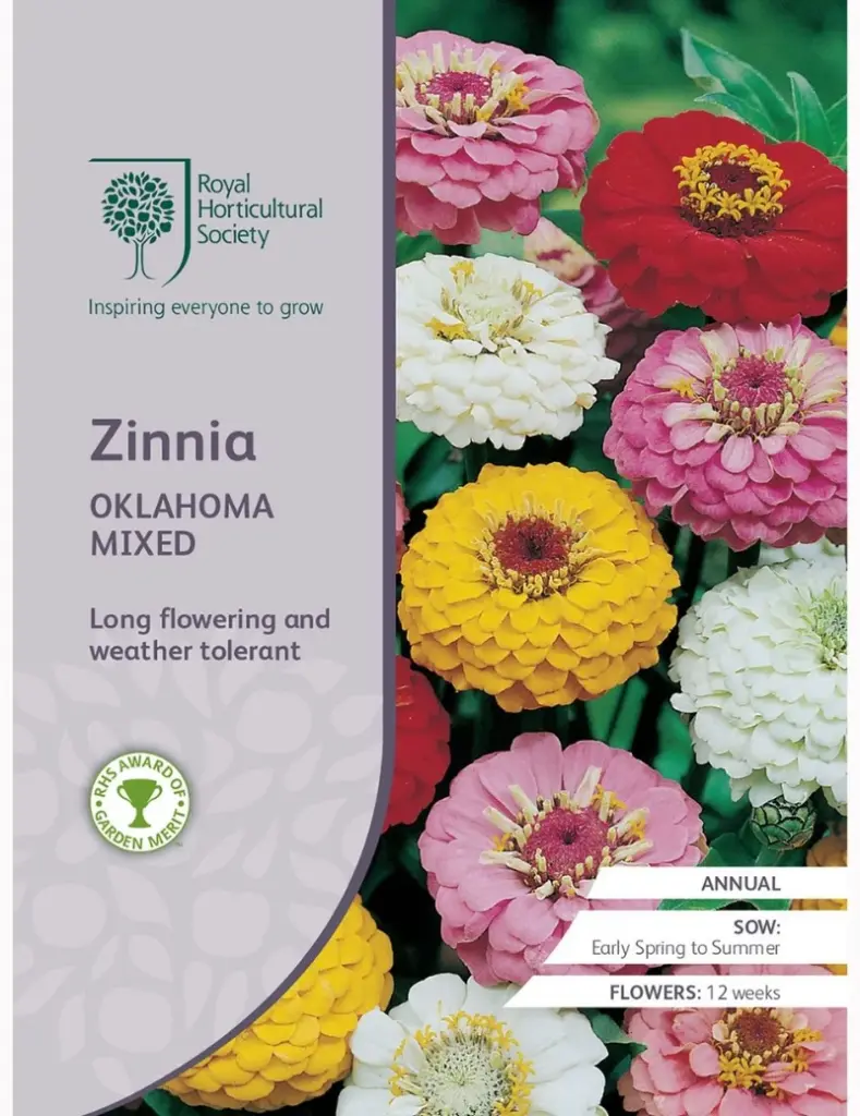 RHS Seeds - Oklahoma Zinnia Mix