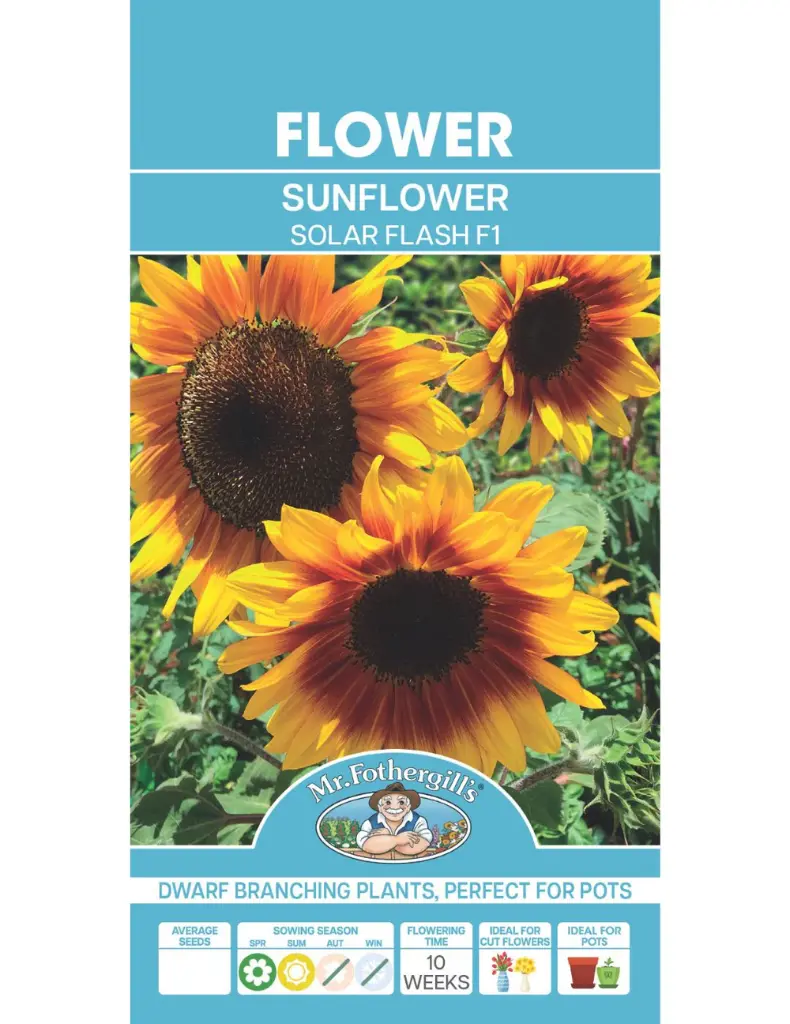 Solar Flash F1 Sunflower Seeds