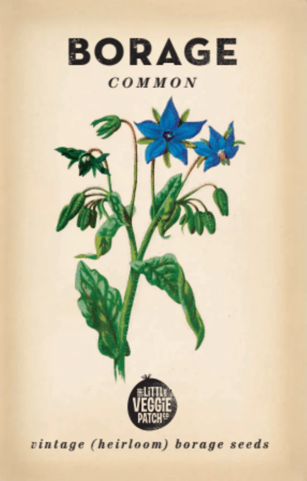Heirloom Seeds - Borage 'Common' 