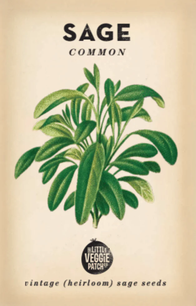Heirloom Seeds - Sage 'Common'
