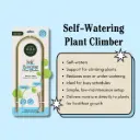 Self-watering Plant Climber