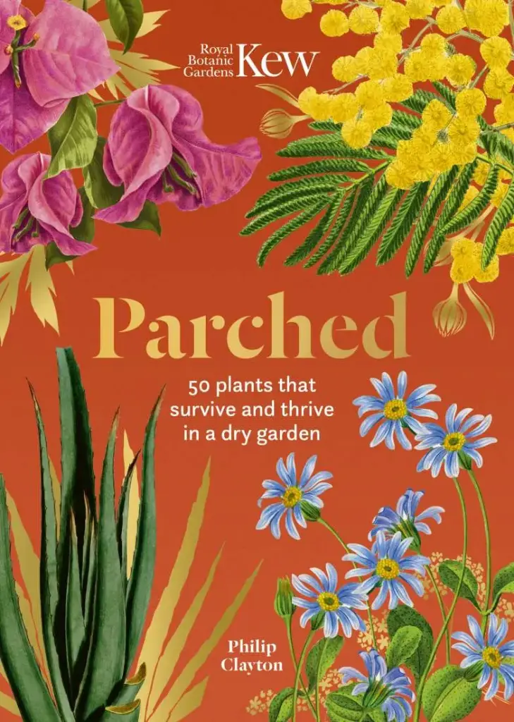 KEW – PARCHED