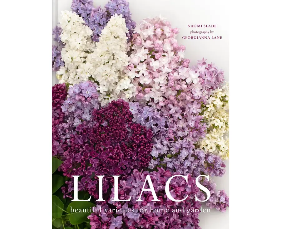 Lilacs: Beautiful Varieties for Home and Garden