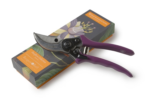 [2898] Passiflora Secateurs