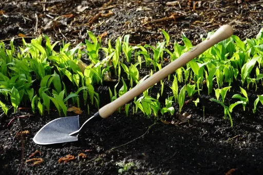 [2951] DeWit mini shovel drop grip handle - 48cm