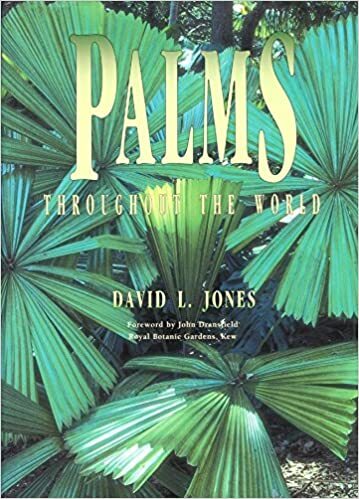 [47022] Palms Throughout the World