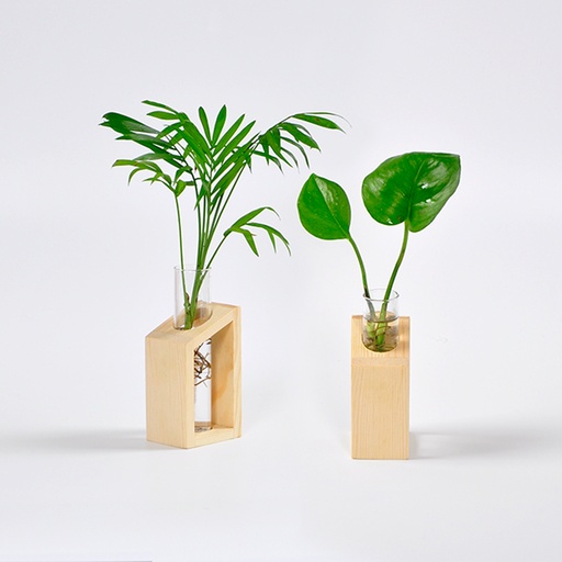 [23304] Test Tube Propagation Station