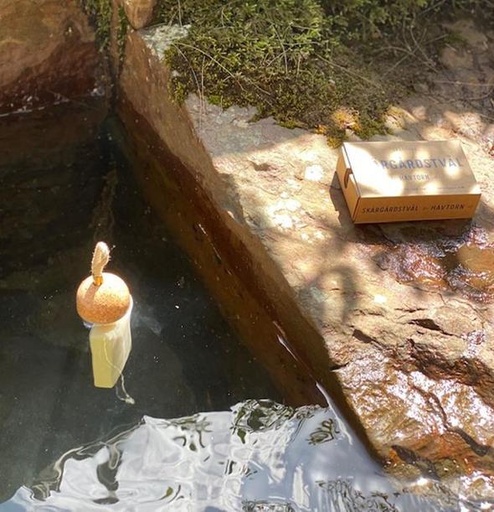 [3443_3444] Skargardstval (Swedish Archipelago Soap) - Havtorn