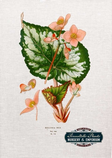 [67910] 'Begonia Rex' Linen Tea Towel
