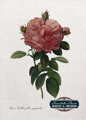 [67914] 'Rosa Gallica' Linen Tea Towel