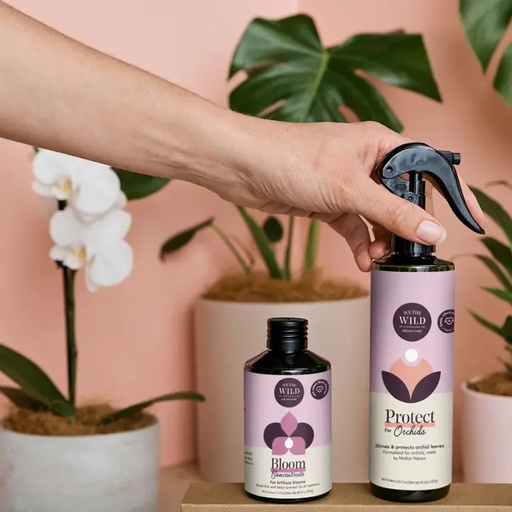 [68425] Orchid Care Duo