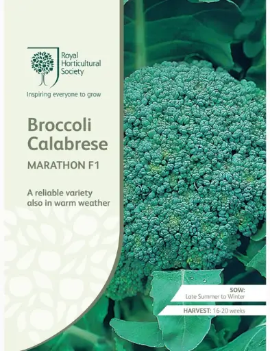 [4142] RHS Seeds - Broccoli Calabrese Marathon F1
