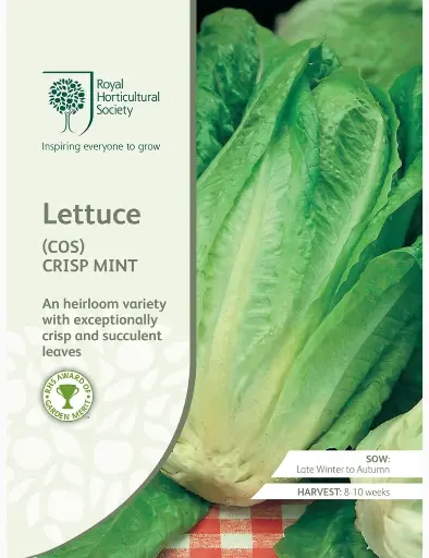 [4158] RHS Seeds - Cos Lettuce Crisp Mint