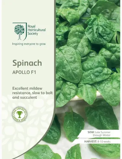 [4168] RHS Seeds - Spinach Apollo F1