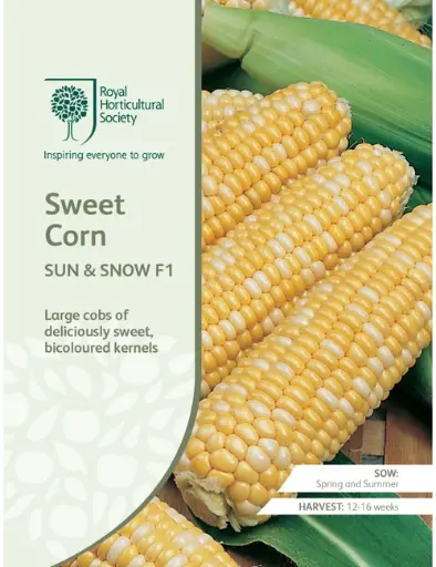 [4172] RHS Seeds - Sweet Corn Sun and Snow F1