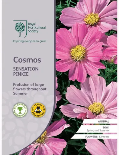 [4190] RHS Seeds - Cosmos Sensation Pinkie