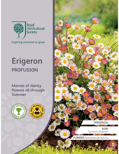 [4192] RHS Seeds - Erigeron Profusion