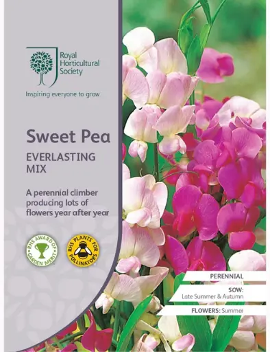 [4208] RHS Seeds - Sweet Pea Everlasting Mixed