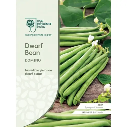 [4127] RHS Seeds - Dwarf Bean Domino