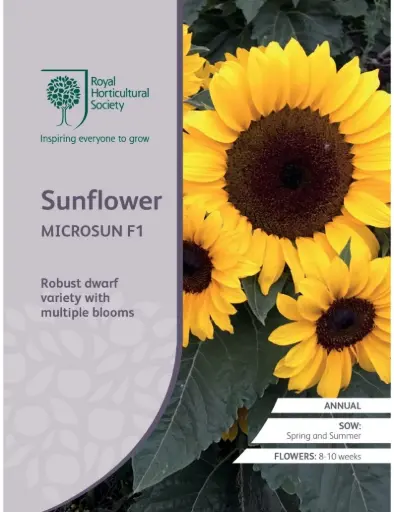 [5011775042060] RHS Seeds - Sunflower Microsun F1
