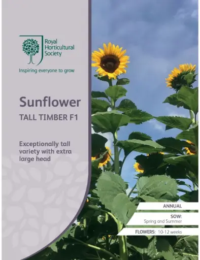 [5011775042077] RHS Seeds - Tall Timber Sunflower