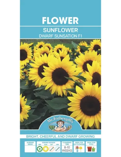 [5011775014364] Dwarf Sunsation Sunflower Seeds