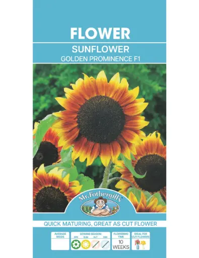 [5011775069722] Golden Prominence F1 Sunflower Seeds