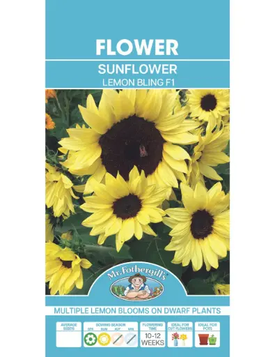 [5011775060453] Lemon Bling F1 Sunflower Seeds